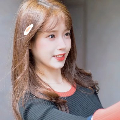 翼手龙