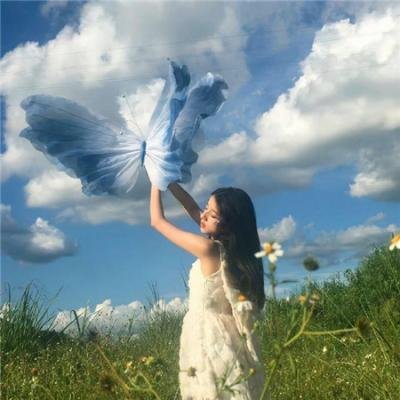 隐秘的莲花
